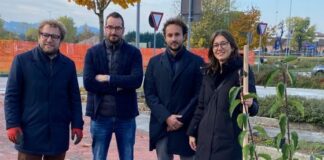 Piantumazione collettiva a Vicenza: a Villaggio del Sole 260 nuovi alberi