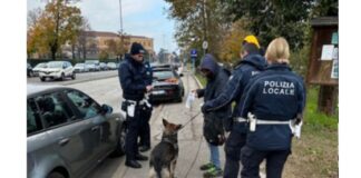 Parcheggiatori abusivi, blitz della polizia locale davanti all’ospedale San Bortolo di Vicenza