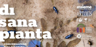 Museo Naturalistico Archeologico, tavola rotonda per la rassegna “Di sana pianta”