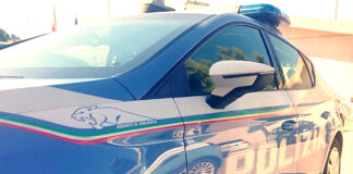 Controlli a Vicenza: due immigrati espulsi, 159 identificati e 42 veicoli controllati algerino molesta anziana vicenza controlli a Donna arrestata