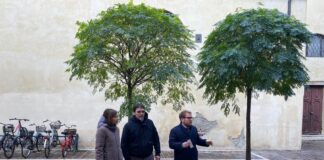 Vicenza, un privato curerà il verde di Piazzetta San Giacomo a sue spese: in cambio sconto sulla Tosap verde di piazzetta san giacomo