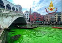 Attivisti del clima colorano di verde il Canal Grande, Zaia ai ragazzi: “Manifestate in altri modi le vostre idee” Canal Grande verde
