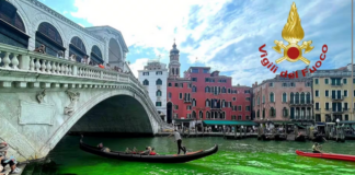Attivisti del clima colorano di verde il Canal Grande, Zaia ai ragazzi: “Manifestate in altri modi le vostre idee” Canal Grande verde