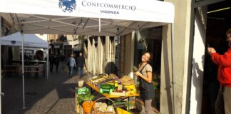 Reagisce al controllo degli agenti della Polizia di Stato di Vicenza con morsi e spintoni: arrestato guineano 24enne su chiamata di “Delizie dell’Orto” Delizie dell’Orto