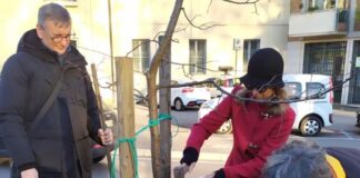 Un tiglio per Patrizio Giulini in viale Margherita da Civiltà del Verde e Italia Nostra: “Compagno di battaglie per Campo Marzo e Parco Querini”