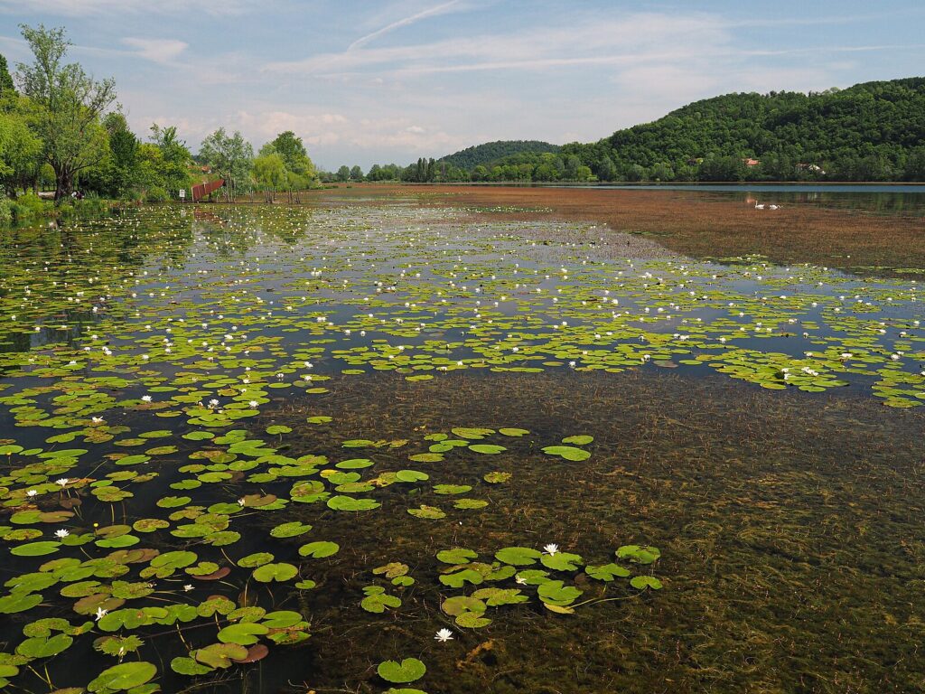 Veduta del Lago di Fimon calato in un'atmosfera malinconica