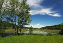 Il Lago di Fimon: un malinconico paesaggio Preraffaellita Veduta del Lago di Fimon calato nell' atmosfera primaverile - fonte