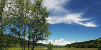 Il Lago di Fimon: un malinconico paesaggio Preraffaellita Veduta del Lago di Fimon calato nell' atmosfera primaverile - fonte