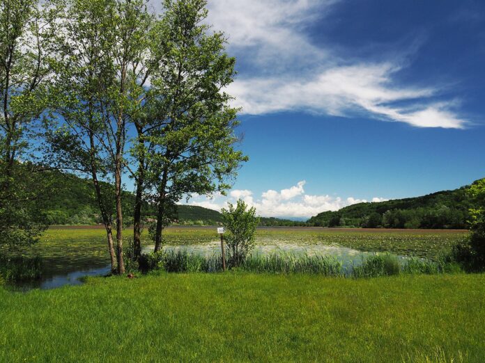 Veduta del Lago di Fimon calato nell' atmosfera primaverile - fonte