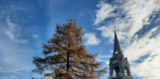 Progetto di scavo sul monte Cimone: si vuole indagare l’esplosione di una mina austroungarica