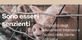 Sono esseri senzienti, a Vicenza un dibattito pubblico sulla tutela degli animali sono esseri senzienti vicenza