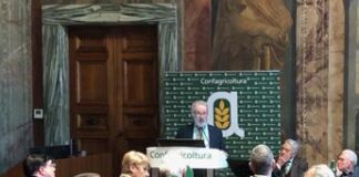 Alimenti, Poli (Nfi): “Rischio malattie da carne rossa? Da studi visione semplificata”