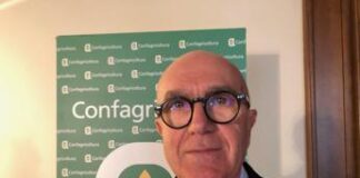 Alimenti, Pulina (Uniss): “Proteine animali indispensabili nella nostra dieta”