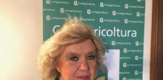 Alimenti, nutrizionista Hrelia: “Carne rossa fonte preziosa di vitamina B12”