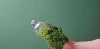 Biodiversità, pubblicati gli standard aggiornati dal Global Reporting Initiative