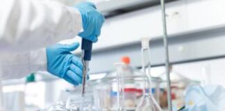 Cancro stomaco metastatico Her2+, rimborso per anticorpo farmaco-coniugato