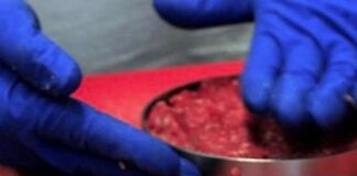 Coldiretti, c’è maggioranza qualificata in Ue su stop carne coltivata