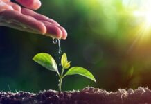 Alleanza Verdi Sinistra contro il consumo di suolo in Veneto e la Proposta di Legge 244: “Il territorio non è merce da regalare” consumo di suolo in veneto assemblea a mestre