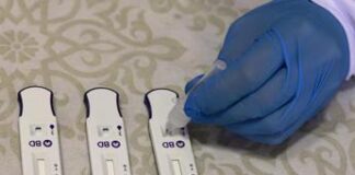 Covid Italia, bollettino ultima settimana: 2.440 casi e 46 morti