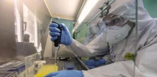 Covid, la nuova pillola per la guarigione più veloce