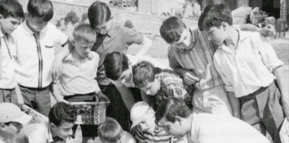 Noi, boomers di Vicenza: i giochi e la musica Gioco delle figurine