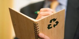 I lavori del futuro secondo Linkedin: il Sustainability specialist, chi è e cosa fa