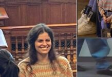 Ilaria Salis, Civici con Possamai lancia appello al Governo: “Riportatela in Italia” Ilaria Salis