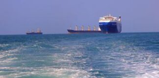 Israele-Iran, di chi è la Msc Aries sequestrata dai Pasdaran