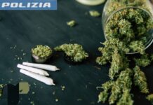 Straniero in possesso di sostanza stupefacente davanti alla sede della Caritas di Vicenza sanzionato dalla Polizia di Stato Polizia di Stato di Vicenza trova cannabis in possesso di un utilizzatore (foto di repertorio)