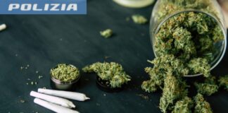 Straniero in possesso di sostanza stupefacente davanti alla sede della Caritas di Vicenza sanzionato dalla Polizia di Stato Polizia di Stato di Vicenza trova cannabis in possesso di un utilizzatore (foto di repertorio)