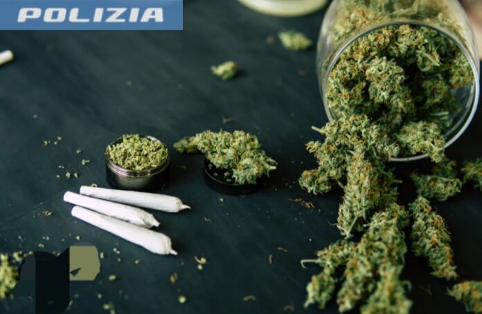 Polizia di Stato di Vicenza trova cannabis in possesso di un utilizzatore (foto di repertorio)
