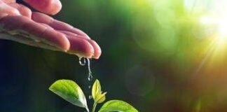 Raggi cosmici per misurare l’acqua, startup italiana guarda a sviluppo internazionale