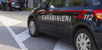 Torino, uomo ucciso a coltellate: corpo trovato in un bosco