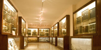 Museo d’arte sacra di Monte Berico: una perla nel cuore del santuario finora poco conosciuta Una delle sale del Museo di Monte Berico con esposti gli ex voto