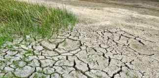 Consumo del suolo in Veneto, appello di Italia Nostra, Legambiente e WWF Consumo del suolo in Veneto, interventi di Guarda e Masolo