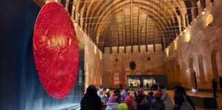 A Vicenza tre capolavori per tutti: nidi, scuole e università per anziani alla mostra in Basilica Palladiana A Vicenza tre capolavori per tutti: nidi, scuole e università per anziani alla mostra in Basilica Palladiana