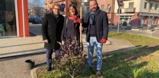 Domenica ecologica a Vicenza, si piantano 100 alberi nella zona del Mercato Nuovo In vista della Domenica Ecologica, il Sindaco Possamai, l'assessore Baldinato e Raffaele Consiglio della Cisl piantano il primo dei cento alberi al mercato Nuovo