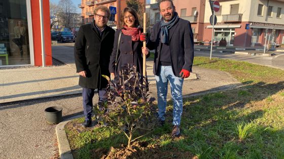 In vista della Domenica Ecologica, il Sindaco Possamai, l'assessore Baldinato e Raffaele Consiglio della Cisl piantano il primo dei cento alberi al mercato Nuovo