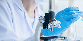 Cancro al pancreas, nuova scoperta all’Università di Verona. I complimenti di Zaia cancro al pancreas