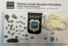 Arrestato pusher a Cavazzale: 36 dosi di eroina e cocaina nascoste nell’intimo Pusher arrestato a Cavazzale