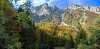 Toponomastica e vita quotidiana a Recoaro nel nuovo libro del ricercatore Slaviero Un libro sulla toponomastica recoarese. Nella foto di Domenico Stefani, il paesaggio della Conca di Smeraldo