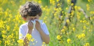 Allarme allergologi pediatri, ‘con boom di pollini e muffe +30% malattie’