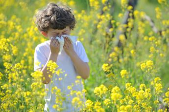 Allergie si parte, l’immunologo: “Stagione già iniziata, a tavola prima difesa”