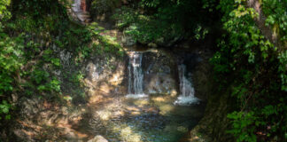 Acqua nel Vicentino: prosegue il viaggio storico con Fondazione di Storia di Vicenza e Viacqua Acqua nel Vicentino