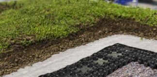 Blasetti (Figc): “Europei 2024 saranno i più sostenibili di sempre”