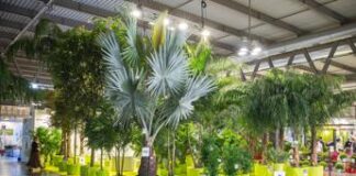 Brusa (Confagricoltura): “Da florovivaismo 3,1 mld di fatturato nel 2023”