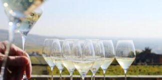 Champagne, da vigneron e Maison fiducia per il 2024 e nuovi impegni di filiera