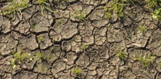 Clima, a rischio 1 pmi su 4, in zone vulnerabili più esposte a fallimento