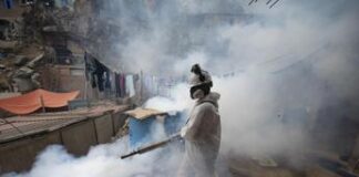 Dengue, stato di emergenza sanitaria in 20 regioni del Perù