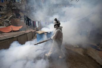 Dengue, stato di emergenza sanitaria in 20 regioni del Perù